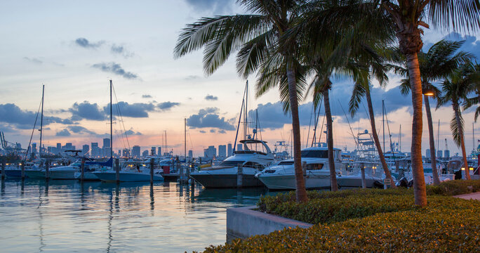 Panoramic view across marina from South Pointe Park, dusk, Downtown Miami in background, South Beach, Miami Beach, Florida, United States of America, North America