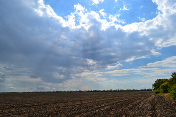 plowed field and blue sky