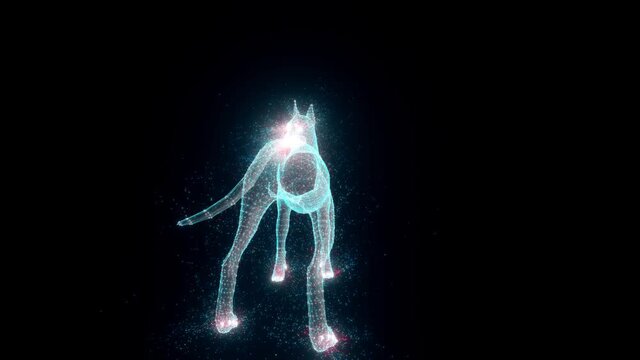 Dog 3d ghologram scanning 4k. High quality 4k footage
