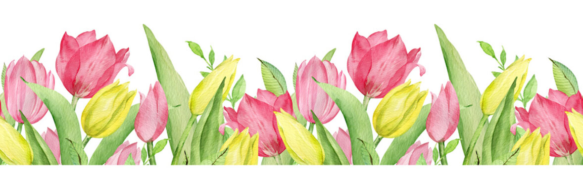 Watercolor seamless border of pink and yellow tulips and green leaves. Easter floral border.