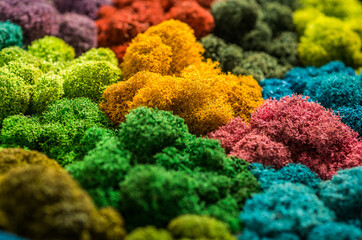 Colored designer decorative moss