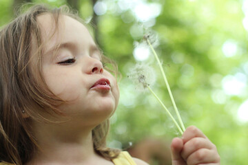 little girl closeup portrait with dandelion