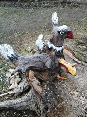 country vulture on the ground