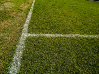 corner of a field