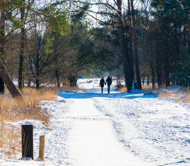 Winter scene with snow and a wandering couple in the forest
