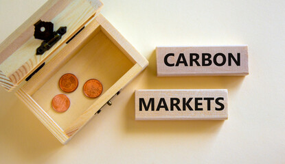 Carbon markets symbol. Concept words 'carbon markets' on wooden blocks on a beautiful white background, small chest with coins. Business and carbon markets concept, copy space.
