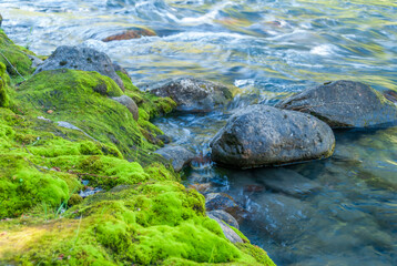 Majestic mountain river with mountain background in Vancouver, Canada.