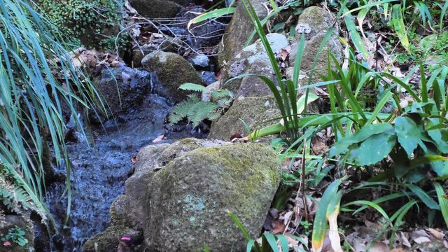 小川の流れ