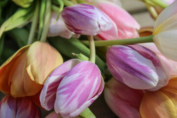 Fototapeta premium colorful tulips in spring pastel color background