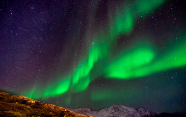 Fototapeta na wymiar aurora borealis in the sky