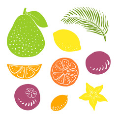 Guava, lemon, mangosteen, passion fruit, orange etc. Whole and slices. Colorful sketch collection of tropical fruits isolated on white background. Doodle hand drawn fruit icons. Vector illustration