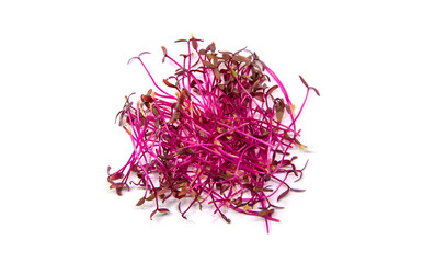 Microgreens amaranth isolate on a white background. Selective focus.