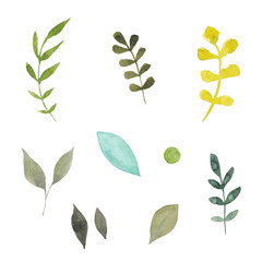 Paint set of hand-drawn watercolor leaves on a white background. Use for menus, invitations, wedding