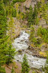 Yellowstone, United States