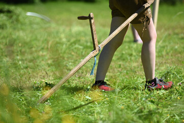 Sensenmähwettbewerb im Almtal, Salzkammergut, Oberösterreich, Österreich, Europa - Scythe mowing...