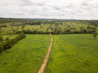 brazilian farm