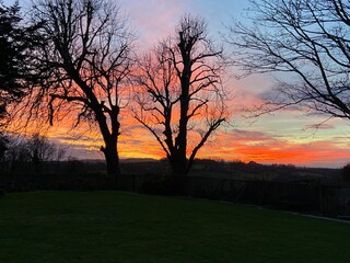 orange sunset silhouette through bare winter trees 