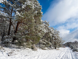Winterlandschaft