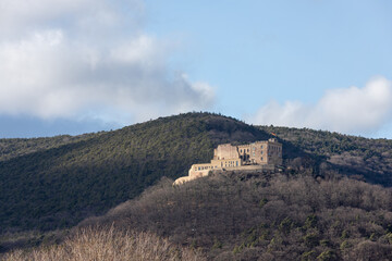 Fototapeta na wymiar old Hambach Castle in winter from the front on a mountain with trees