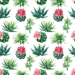 Seamless pattern with succulents. Watercolor botanical illustration, background succulents, haworthia, cacti, echeveria