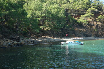 Boat on water with beautiful nature in the background. Boat parked on the sea. Pine forest in the background.
