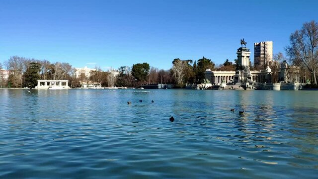 Main pond in the famous Retiro park in Madrid on a sunny winter day. Ducks are simming on the water while seagulls fly around. The monument of Alfonso XII is standing tall to the right of the picture.
