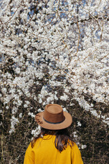 Stylish woman in hat posing at blooming cherry branches in sunny spring, back view. Tranquil moment