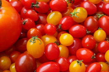 Variety of colorful organic tomato background