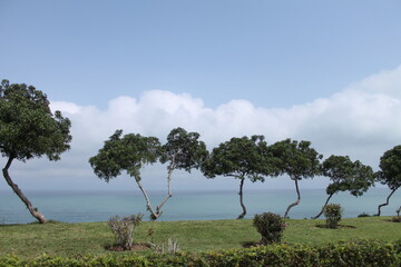 Secuencia de &Aacute;rboles 2