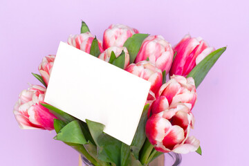 Fototapeta premium Bouquet of fresh red-white tulips . Gift for romantic date. Tender spring flowers. Bunch of tulips for Mother's Day, March 8