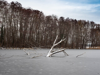Winterlandschaft