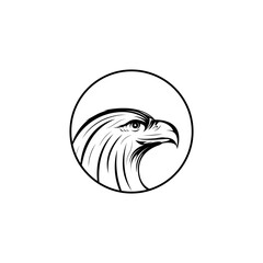 Detailed eagle head drawing. Vector