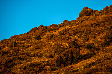 Fototapeta premium Pianeta Terra