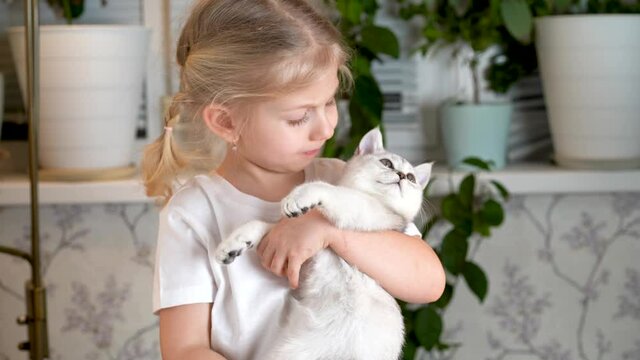a little girl holds and hugs a small white kitten