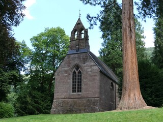 Fototapeta premium A small chapel next to a sequoia tree on a green hill