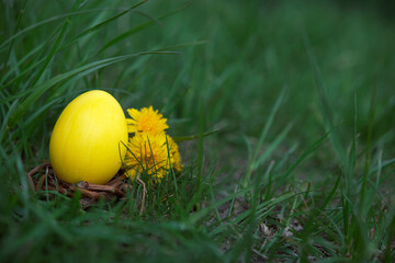 Easter, holidays and tradition concept. Colorful Easter eggs painted in pastel colors on grass background with blossom dandelion.