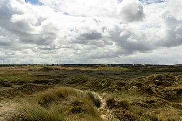 Fototapeta premium landscape with clouds