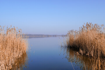 A sedge on a lake opposite a heavenly landscape
