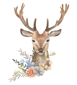 Deer watercolor illustration.
Flower composition.
Postcard forest animals.