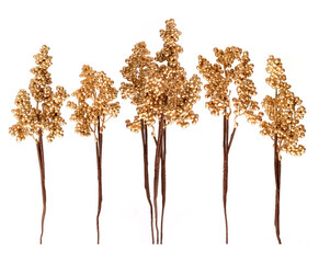 Golden decorative branch with berries isolated on white background © Elena