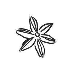 Vector line drawing handmade star anise isolated on white background. sketches of spices