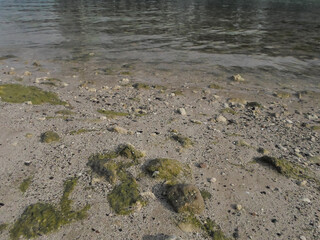 footprints on the sand