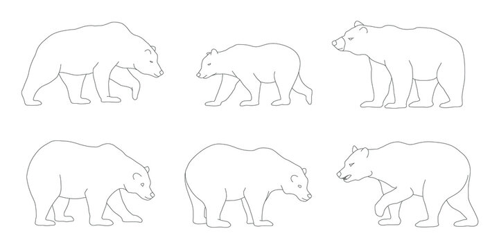 various simple bear line on the white background