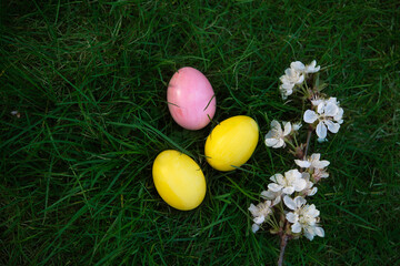 Easter, holidays and tradition concept. Colorful Easter eggs painted in pastel colors on grass background with blossom cherry.