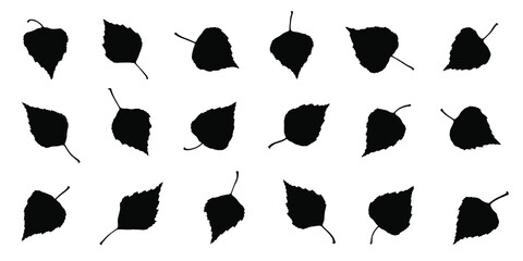 various brich leaf silhouettes on the white background