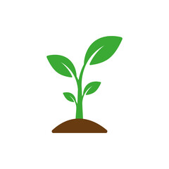 Small, leafy green seedlings on the ground. Vector drawing.