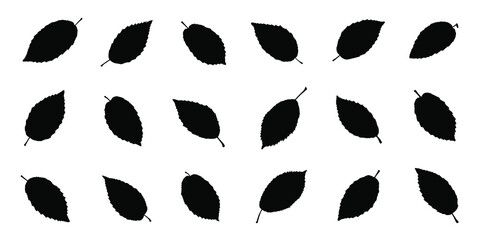 various hornbeam leaf silhouettes on the white background