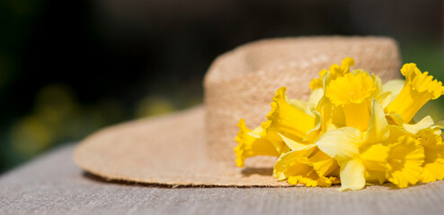 Fototapeta na wymiar Yellow easter decoration daffodil flowers and a straw hat, springtime, spring forward, gardening concept, web banner