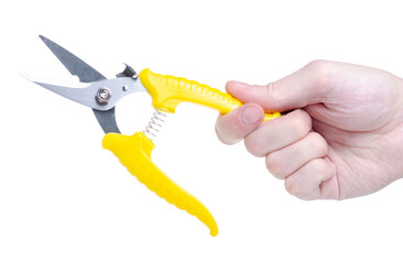 Gardening scissors tool in hand on white background isolation
