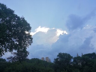 Fall in Central Par, New York, NY - September 2020